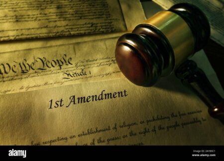 Free Speech Does Not Come Freely