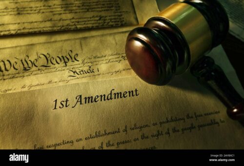 Free Speech Does Not Come Freely