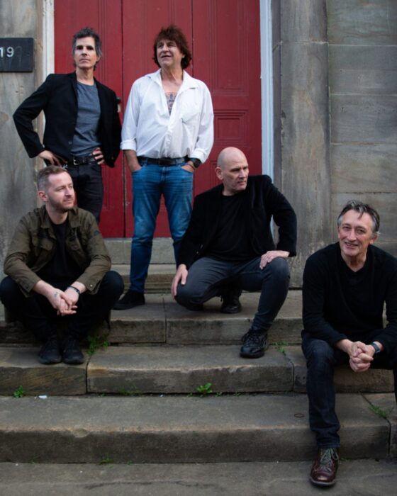 The Chameleons: Music Is Medicine