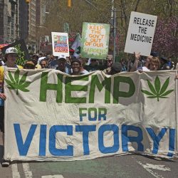 EPMR84 Annual march to legalize Marijuana in New York CIty.