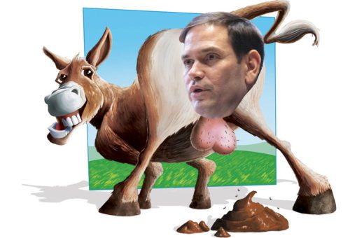 Asshole of the Month: Marco Rubio