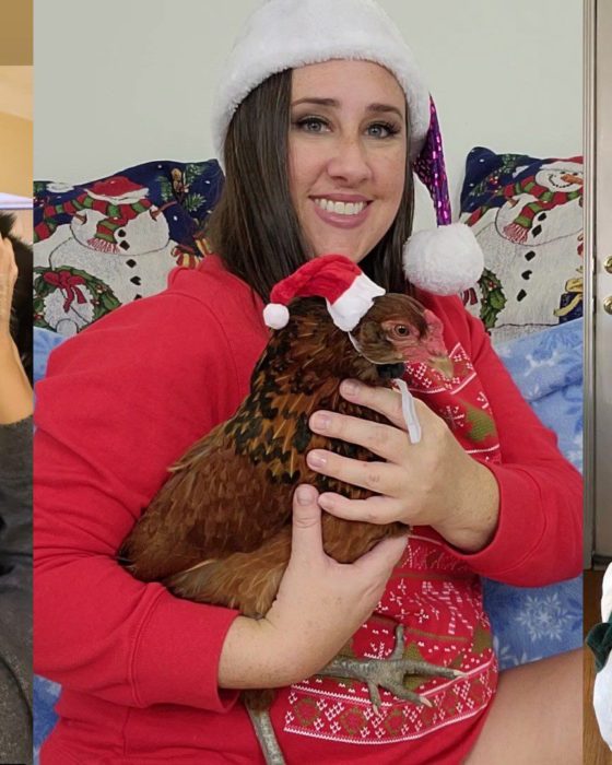 Heavy Petting With Porn Stars: Holiday Edition