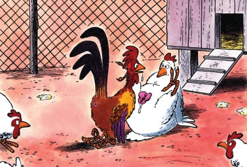 Friday Funnies: Chickening Out