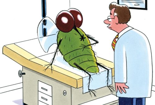Friday Funnies: You Want Flies With That?
