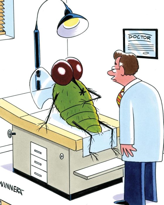 Friday Funnies: You Want Flies With That?